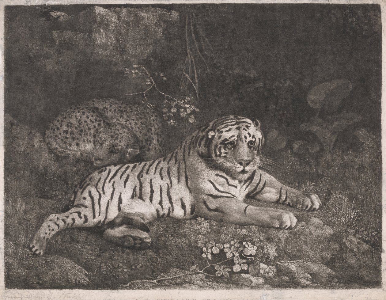 Un tigre y un leopardo dormido de George Stubbs