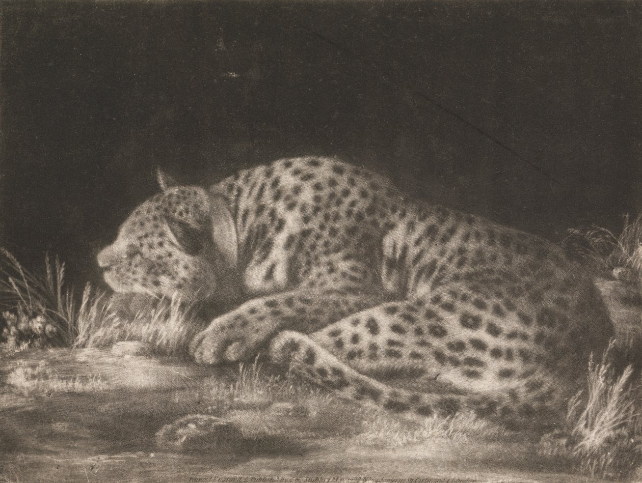 Un Tyger (Leopardo Durmiente) de George Stubbs