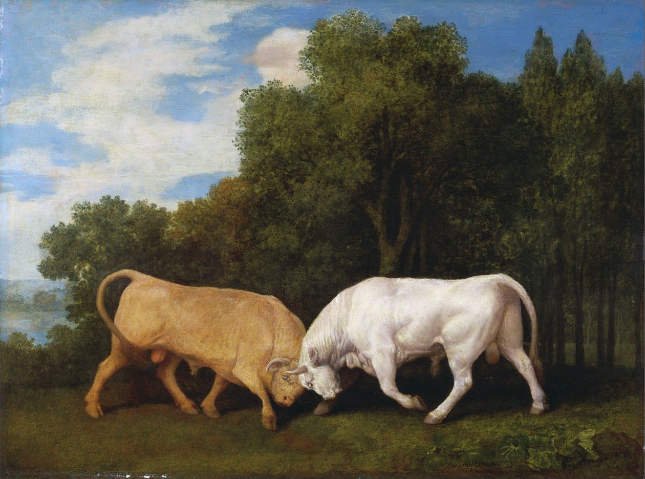 Toros de lidia de George Stubbs