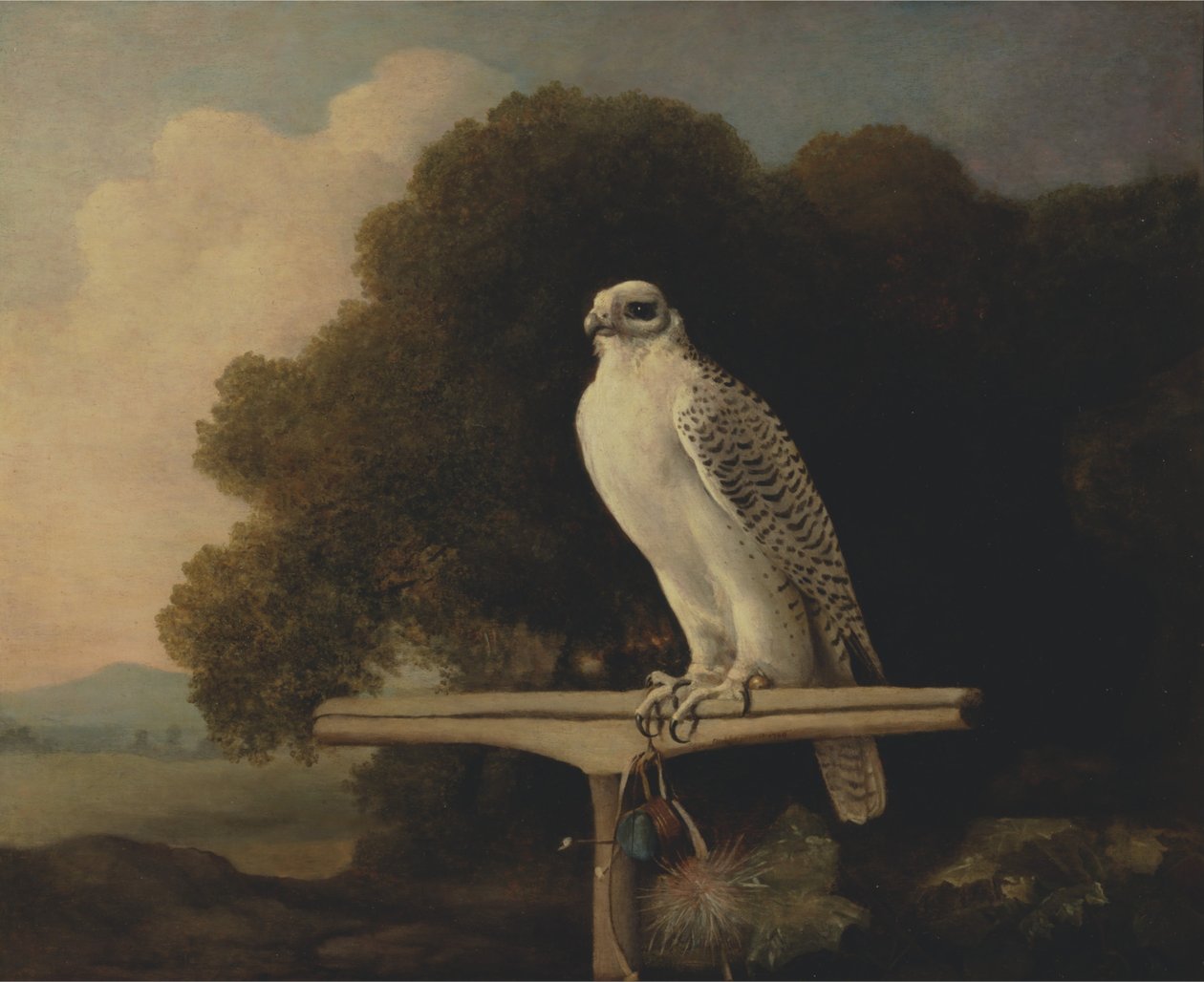 Halcón de Groenlandia de George Stubbs