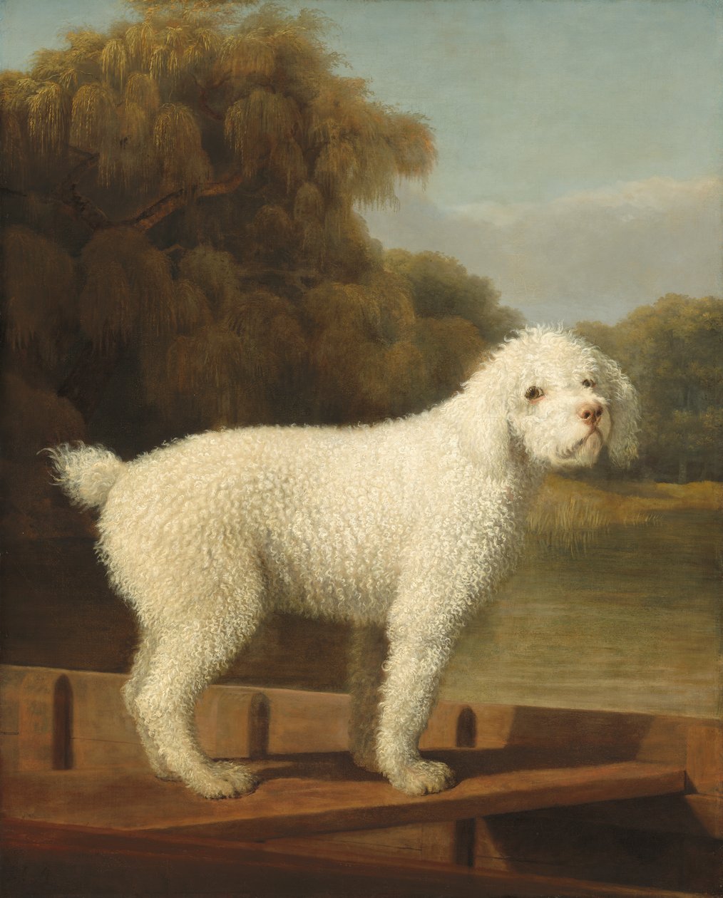 Caniche blanco en una barca de George Stubbs