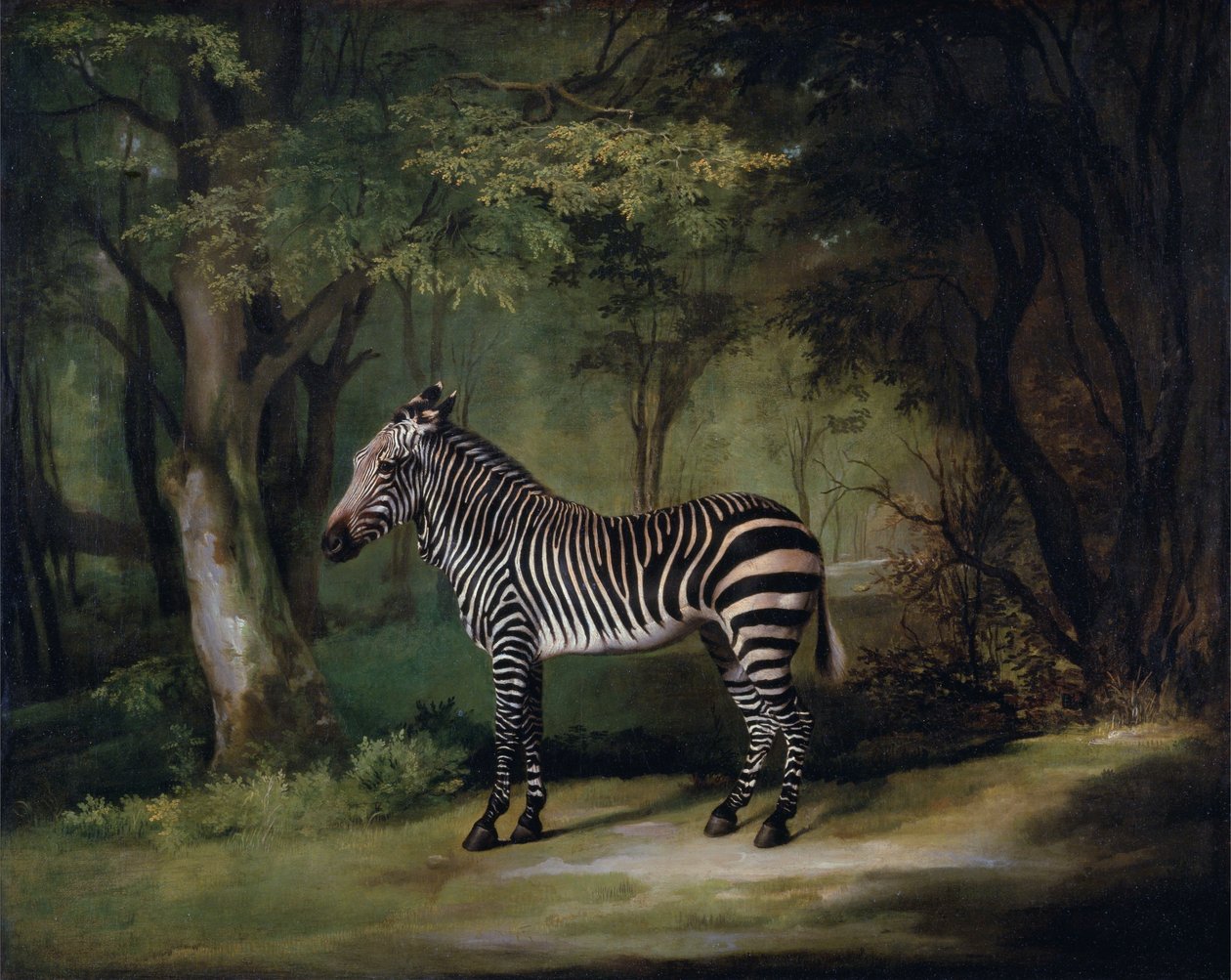 Cebra de George Stubbs