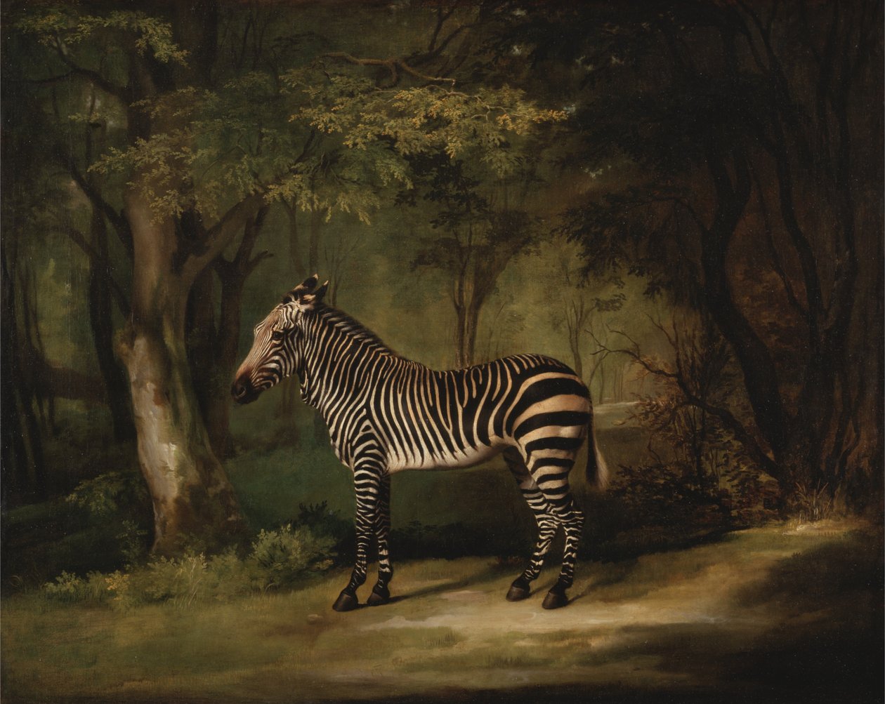 Cebra de George Stubbs