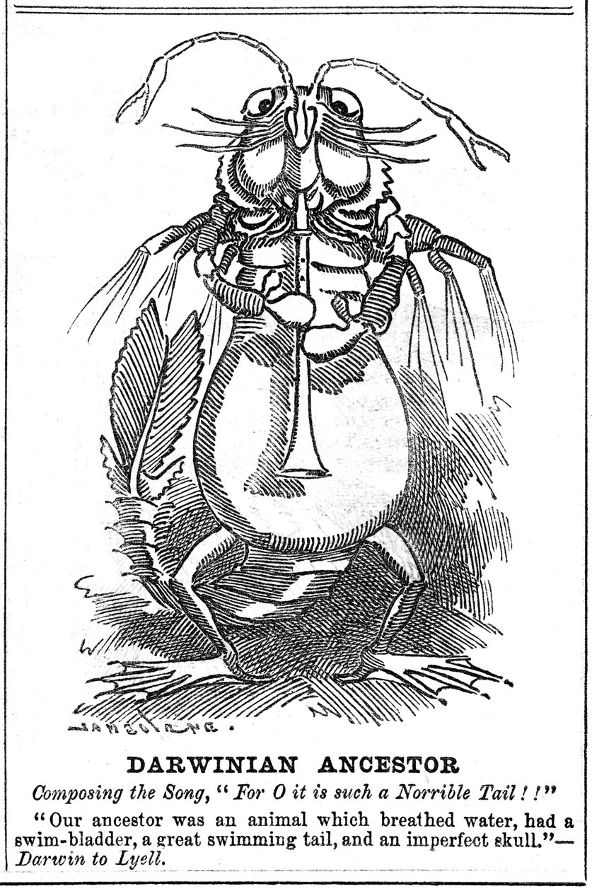 Ancestro darwiniano de George du Maurier