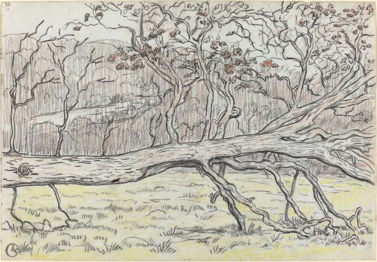 Árbol Tumbado, Normandía de Georges Lacombe