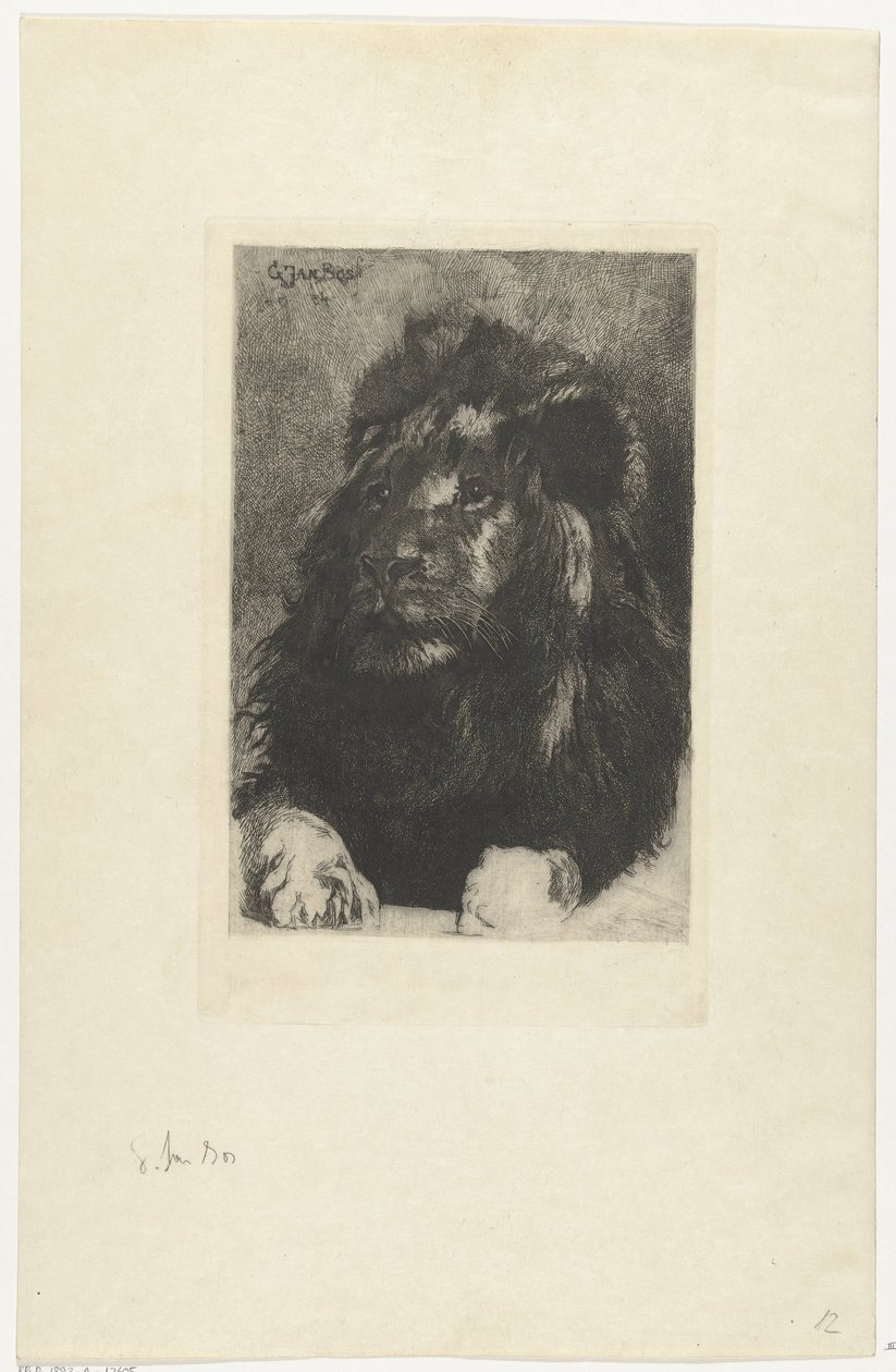 cabeza de un león de Gerard Jan Bos