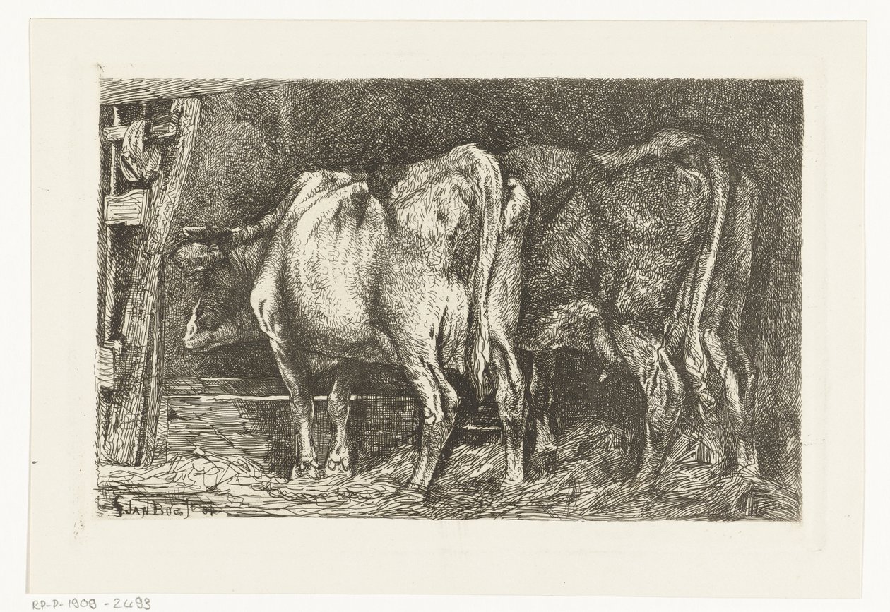 Dos vacas en un pesebre de Gerard Jan Bos