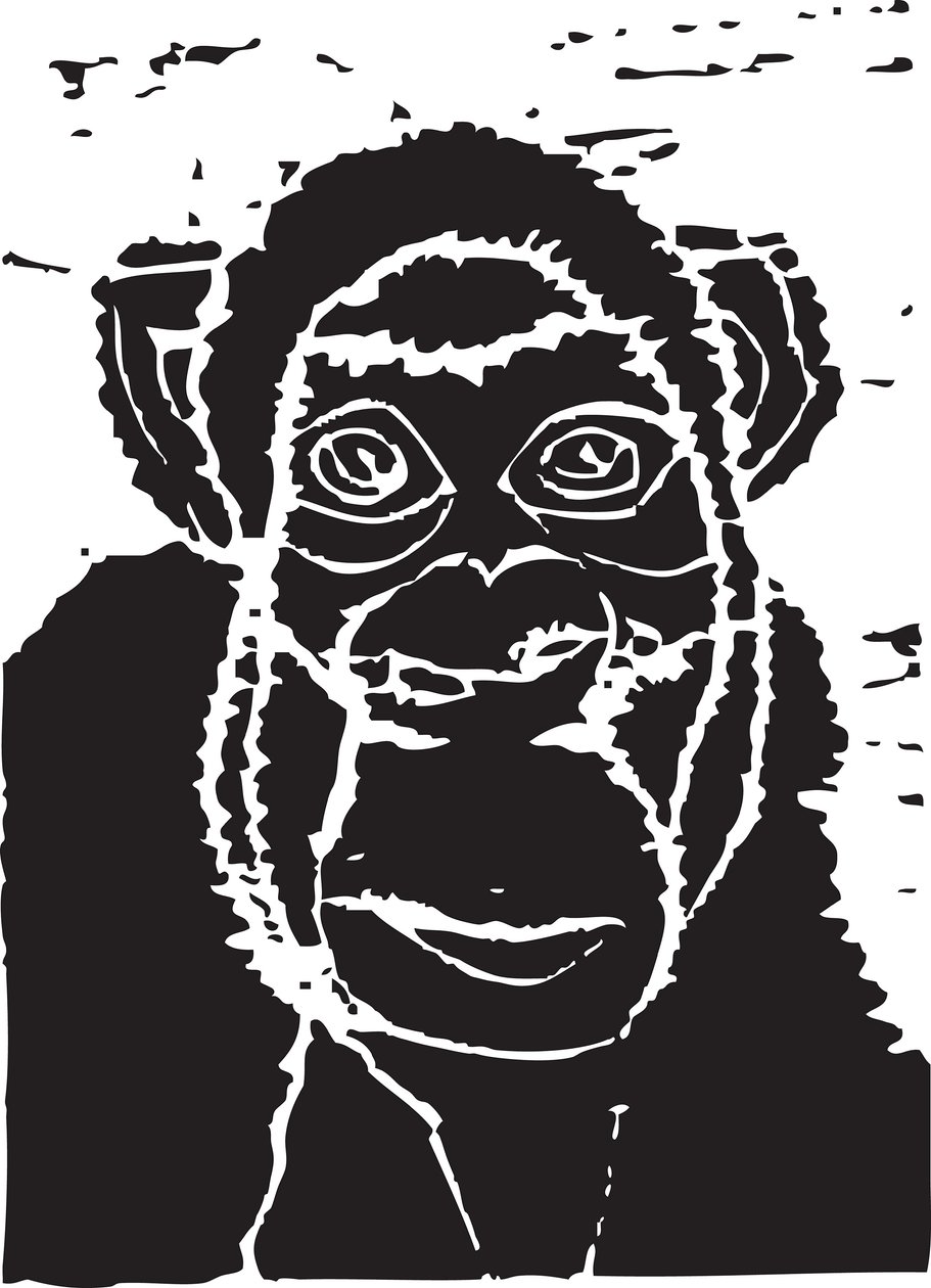 Chimpancé de Gerhardt Isringhaus