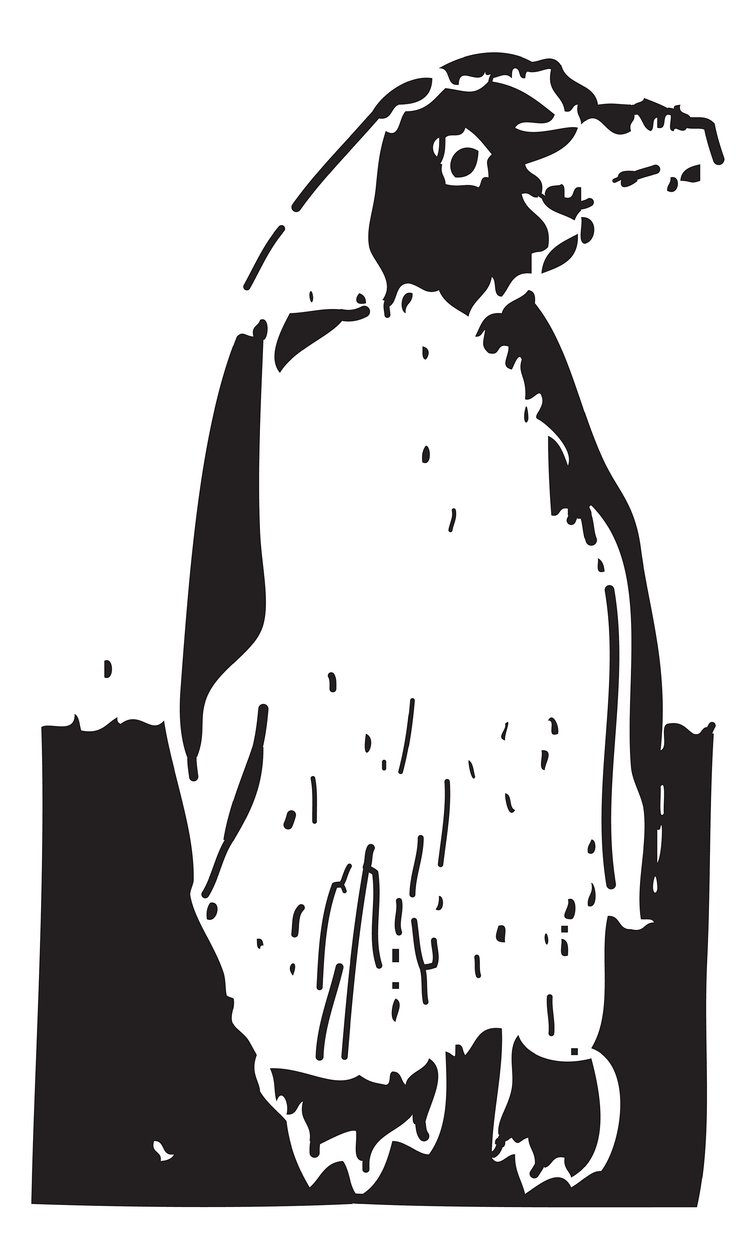 Pingüino de Gerhardt Isringhaus