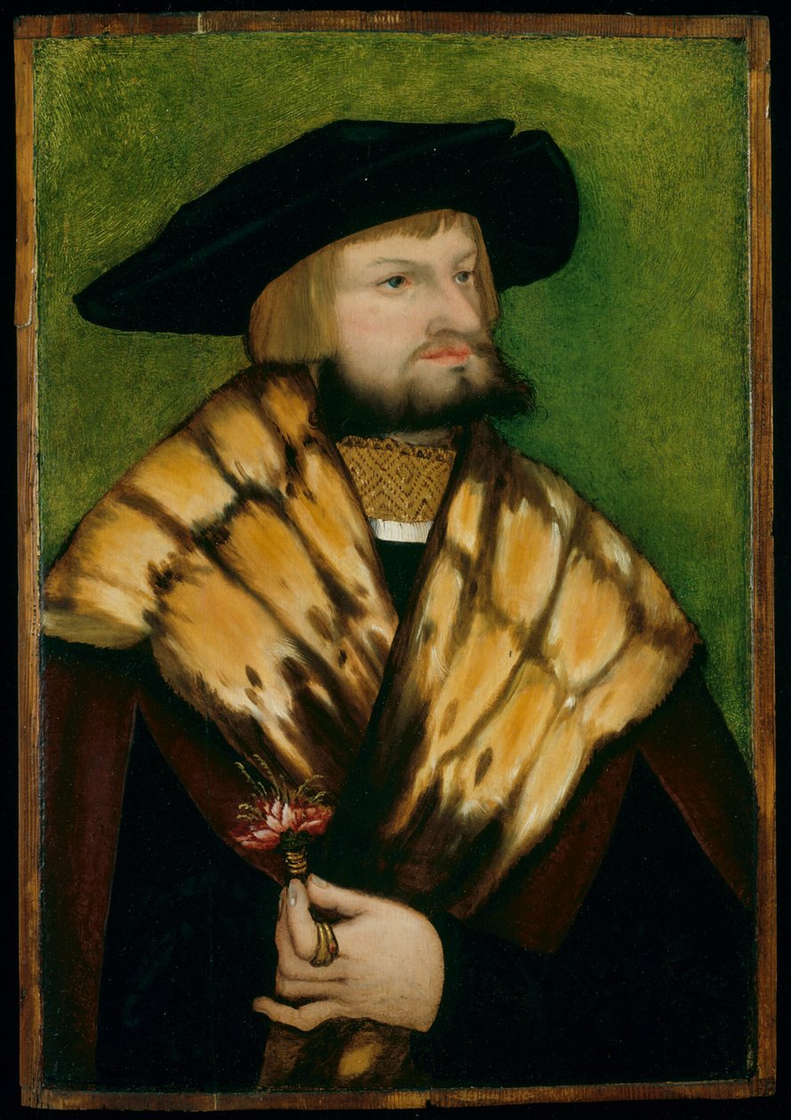 Retrato de Leonhard Fuchs de German