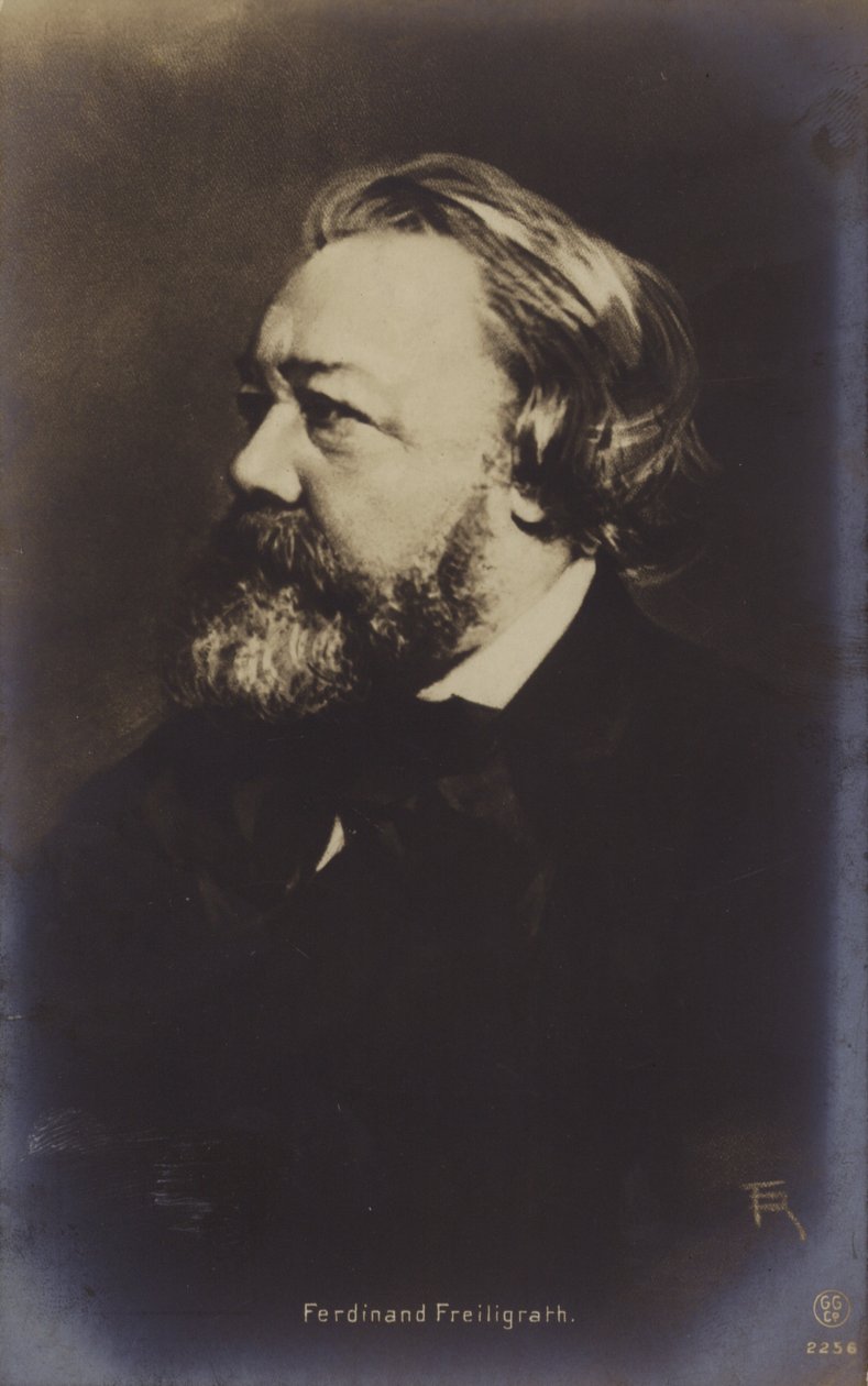 Ferdinand Freiligrath (1810-1876), poeta alemán (foto b/n) de German Photographer