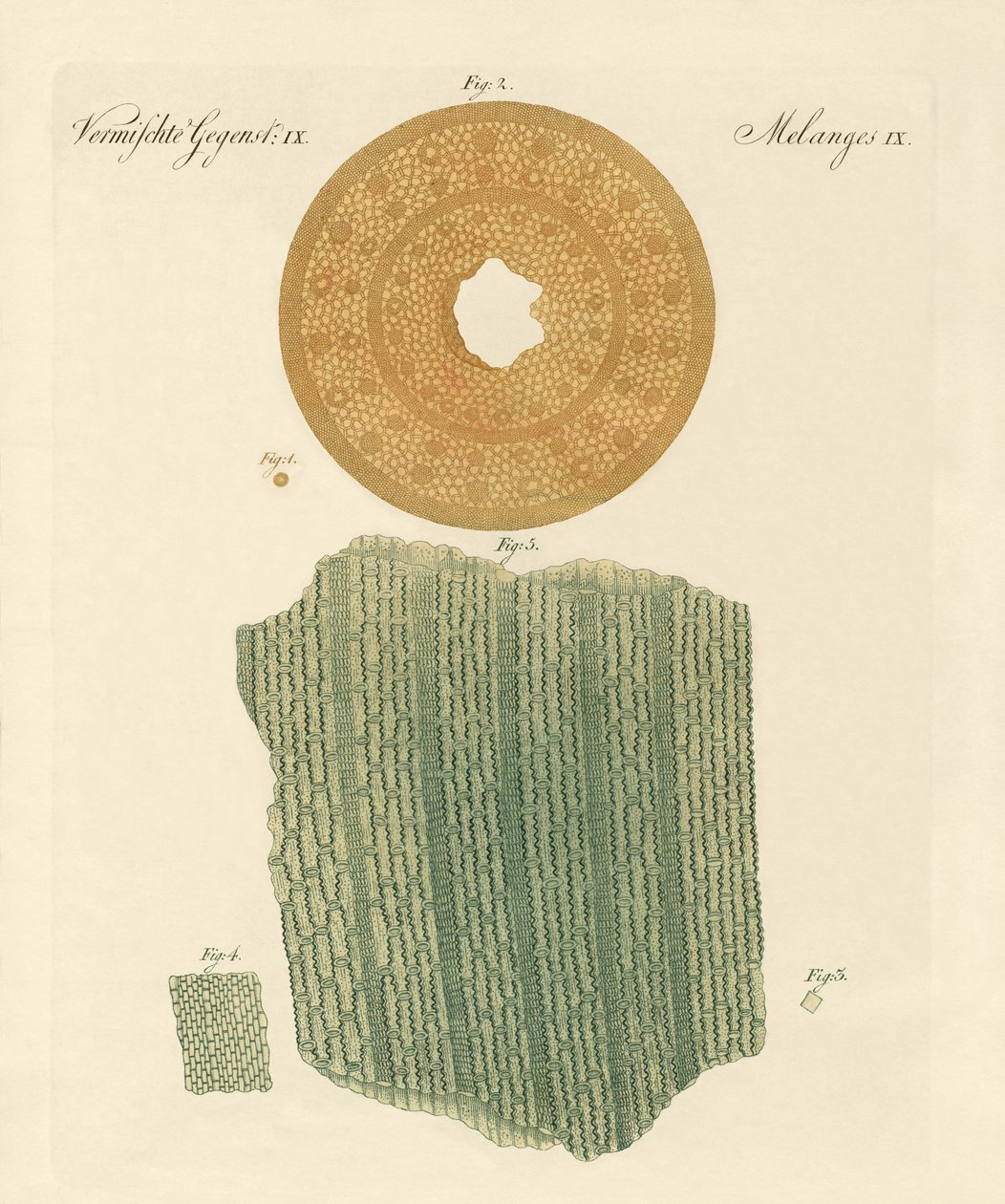 Anatomía de una paja de German School