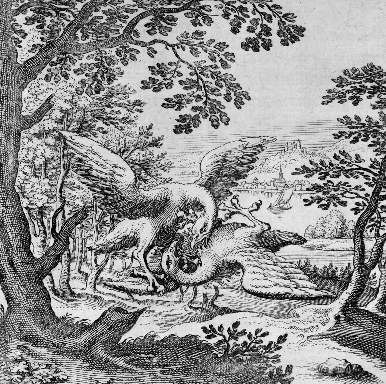 Pájaros peleando del Musaeum Hermeticum de German School