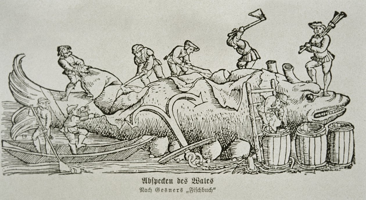 Descuartizando una ballena (xilografía) de German School