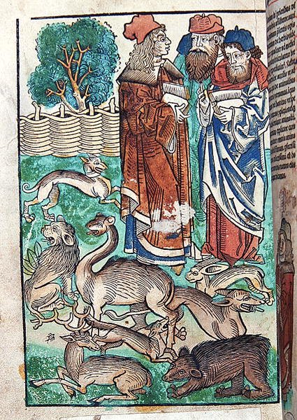 Ilustración de Hortus Sanitatis de German School