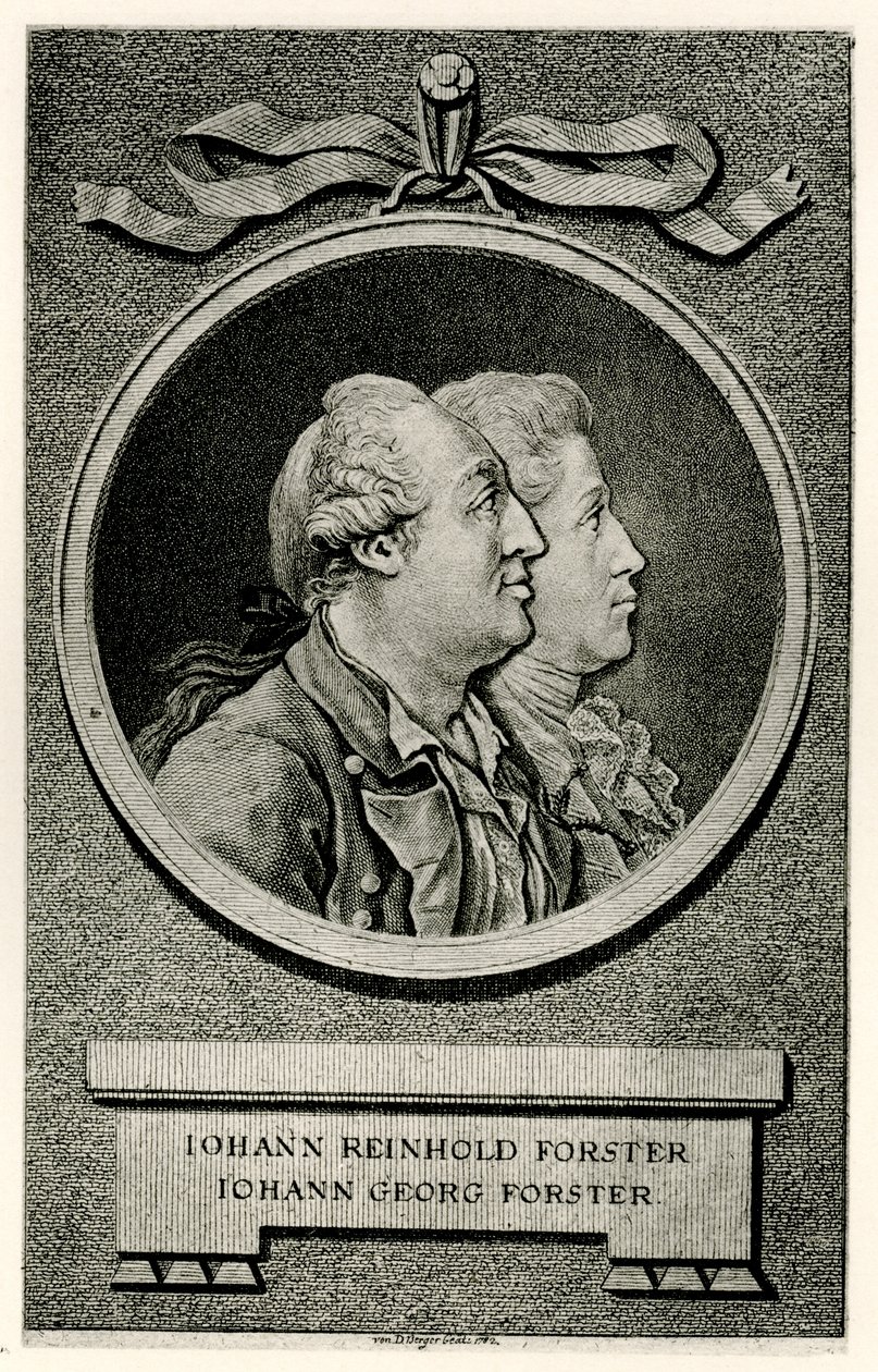 Johann Georg Forster de German School