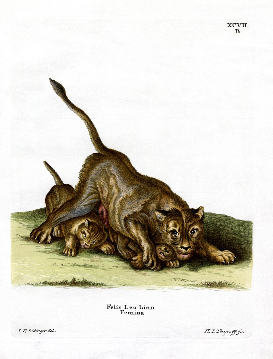 Leona de German School