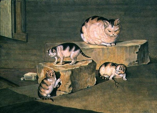 Estudio de gatos de German School