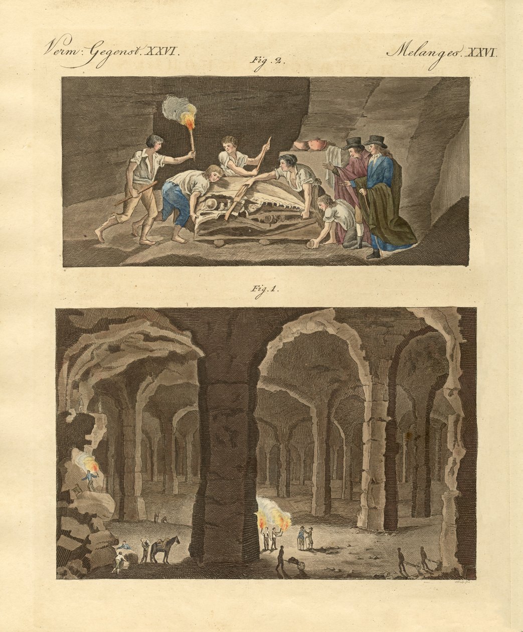 Las cuevas de Maastricht de German School