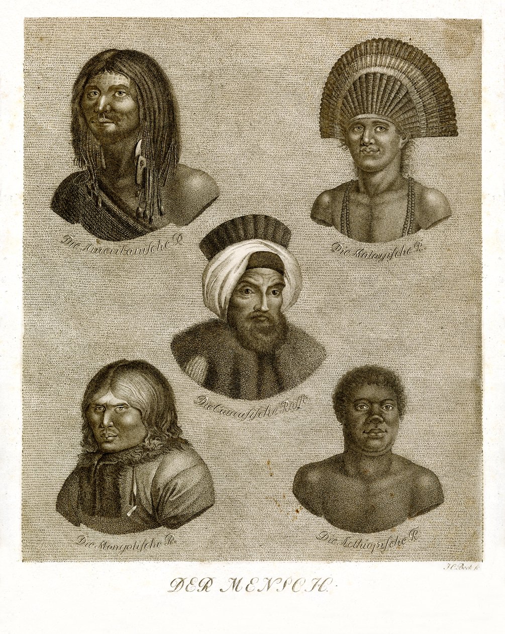 El Humano de German School
