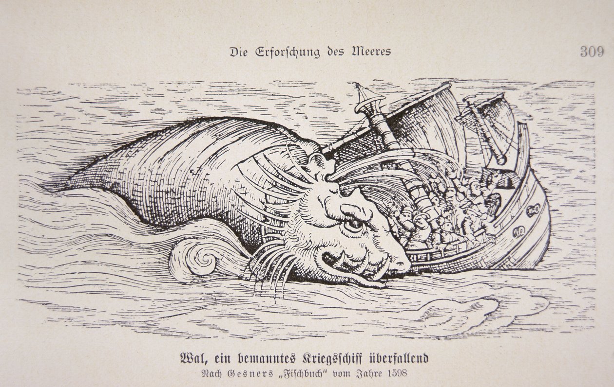 Ballena atacando un barco de German School