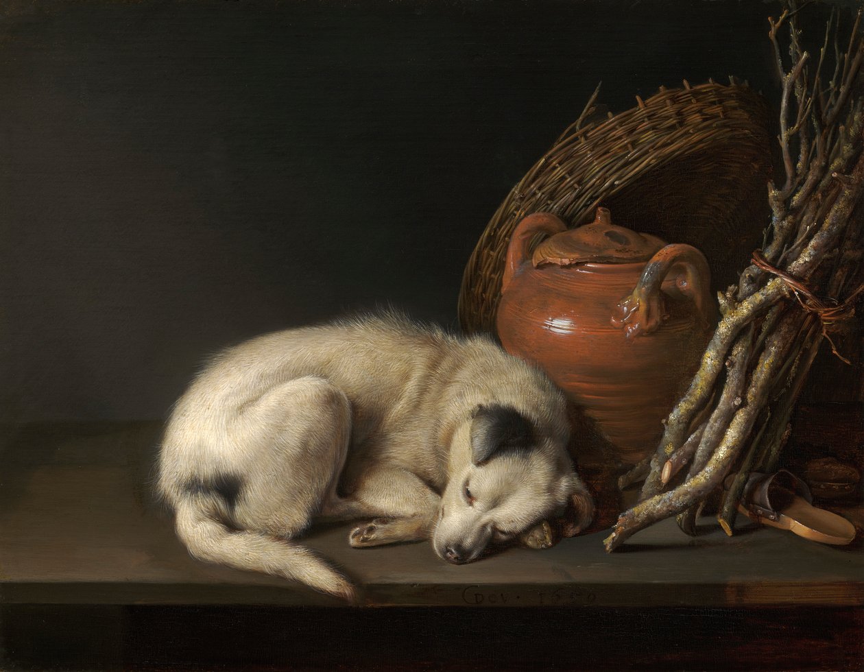 Un perro dormido de Gerrit Dou