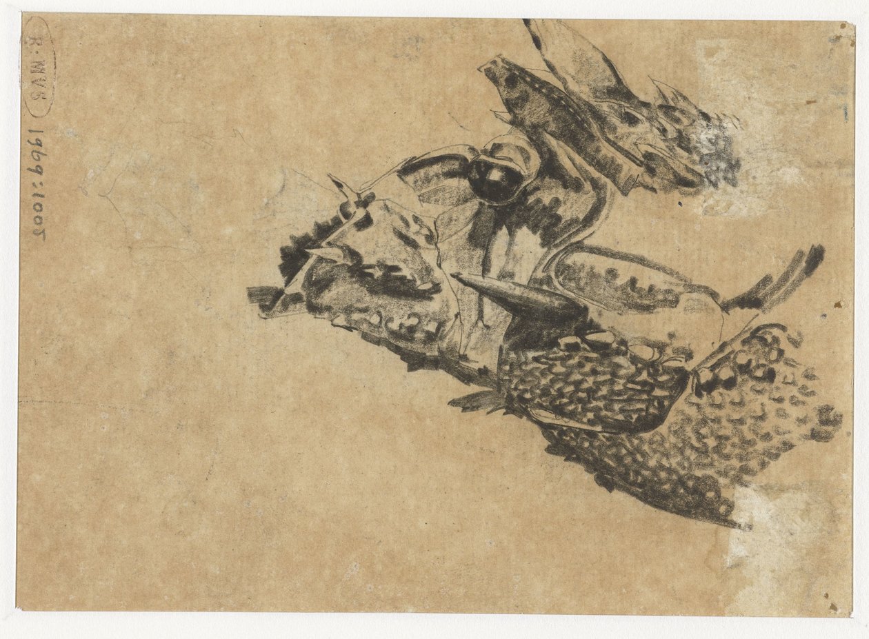 Cabeza de iguana de Gerrit Willem Dijsselhof