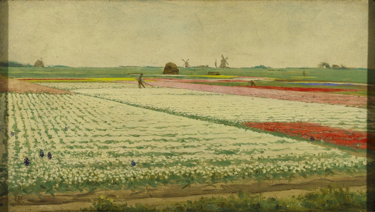 Campos de tulipanes de Gerrit Willem Dijsselhof