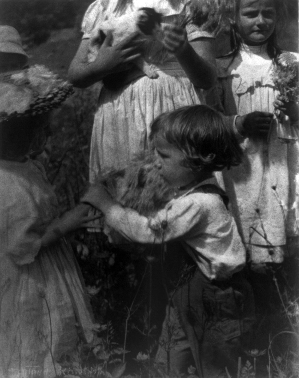 Días felices de Gertrude Käsebier