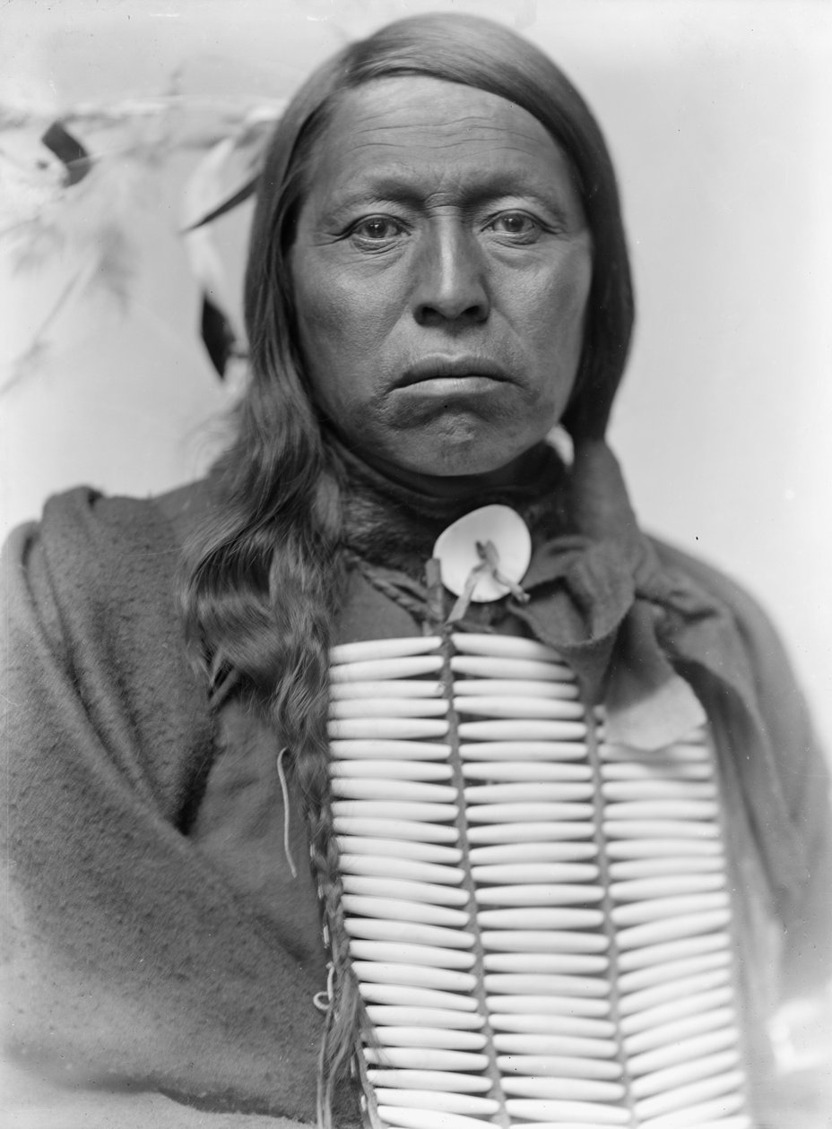 Jefe sioux Flying Hawk, c.1900 de Gertrude Käsebier