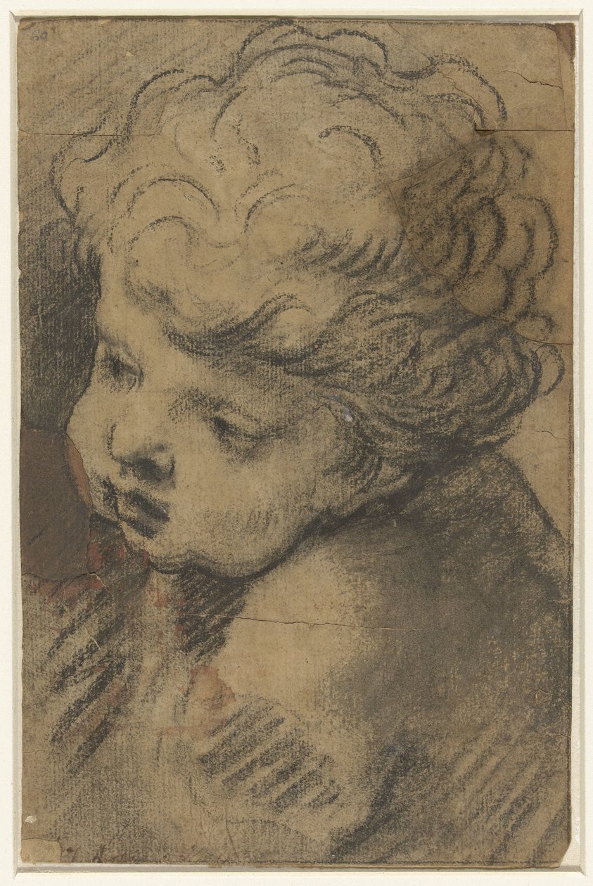 Cabeza de putto de Giacomo Cavedone (attributed to)