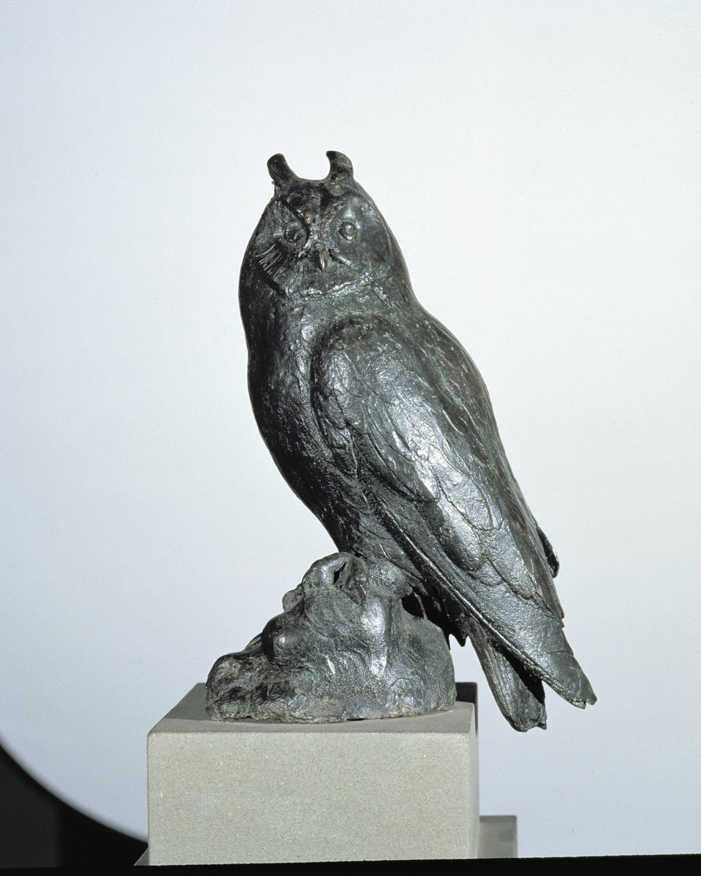 Búho de Giambologna