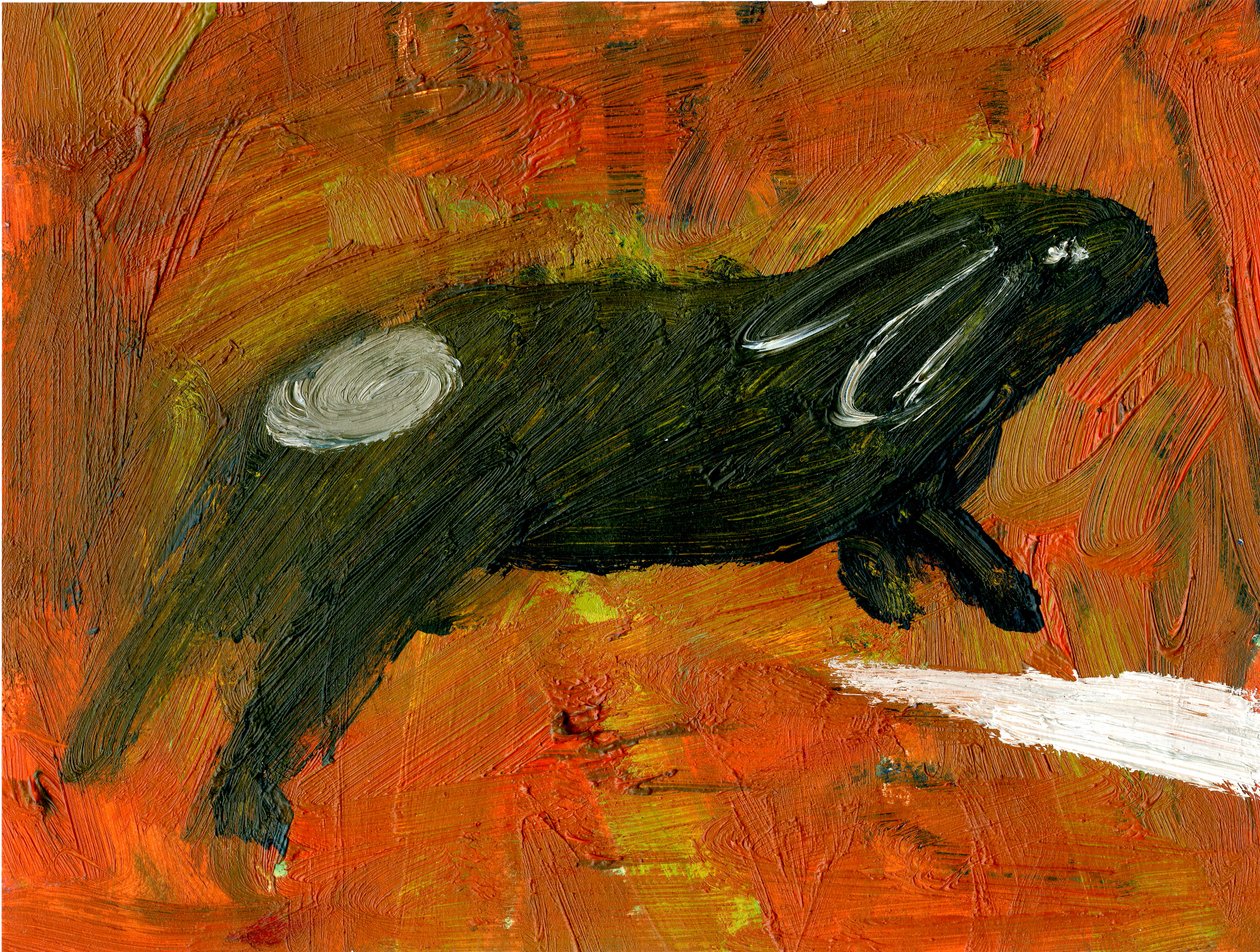 Conejo, 2005 de Gigi Sudbury