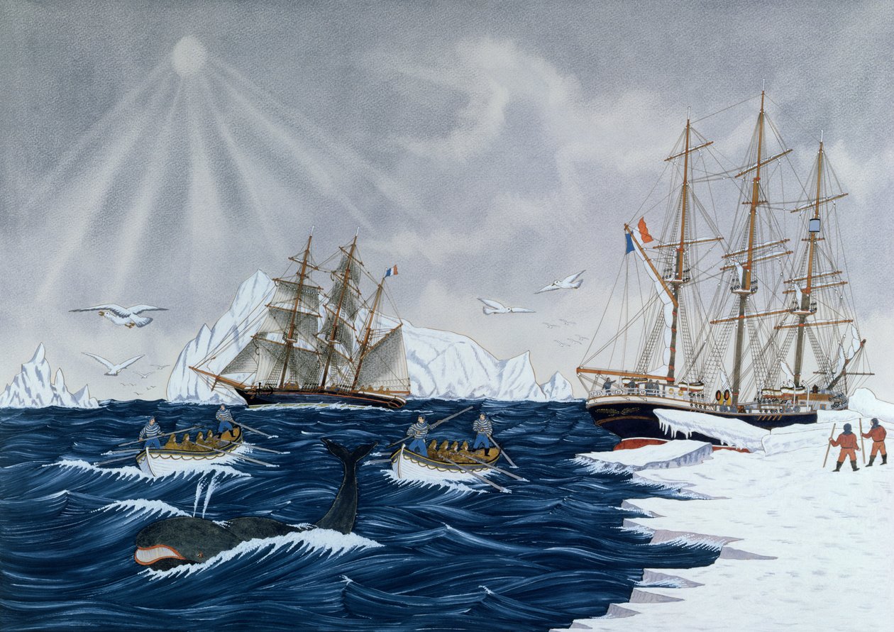 La caza de ballenas, siglo XIX de Gilbert Pajot