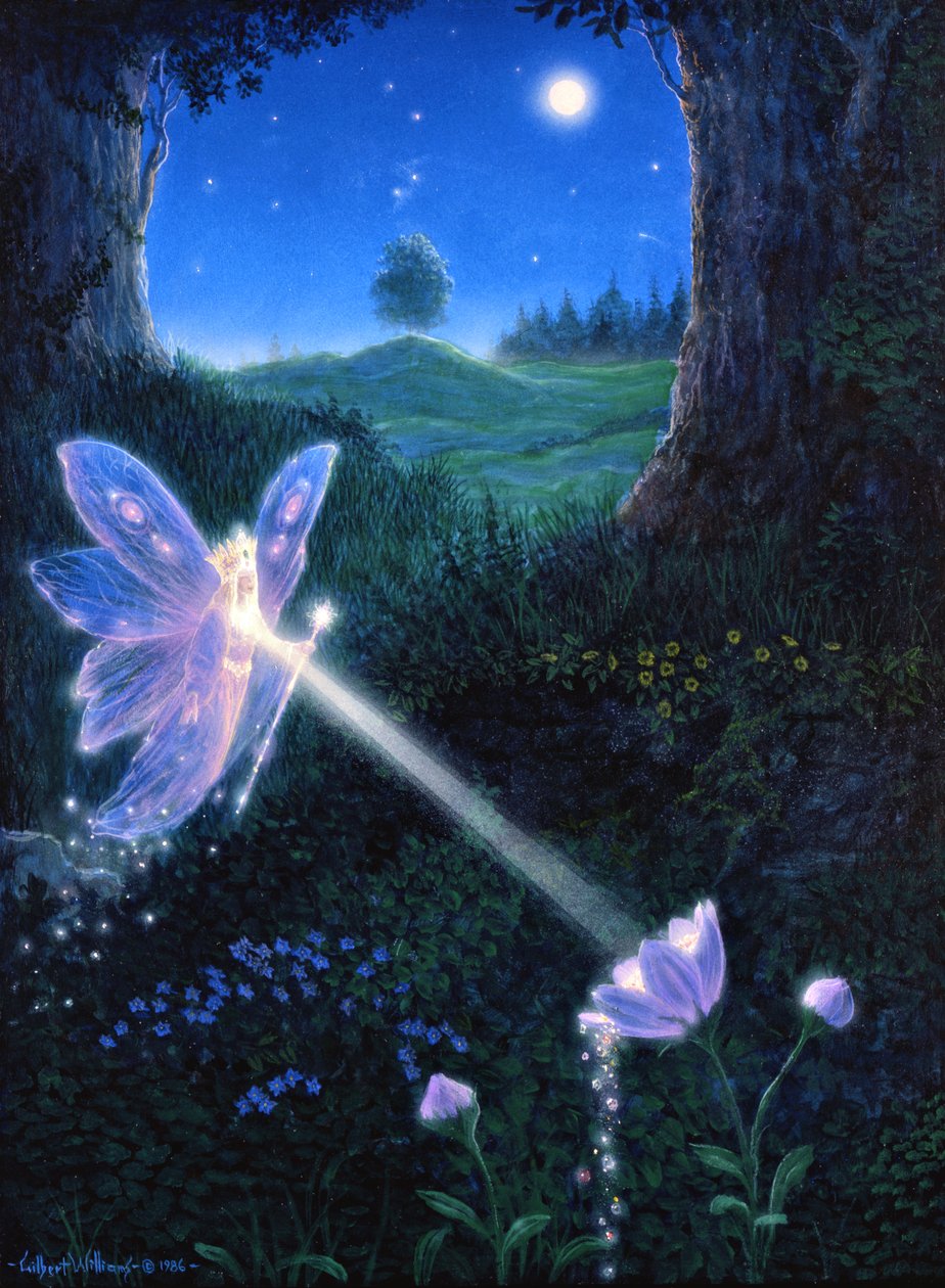 Flor de hada de Gilbert Williams