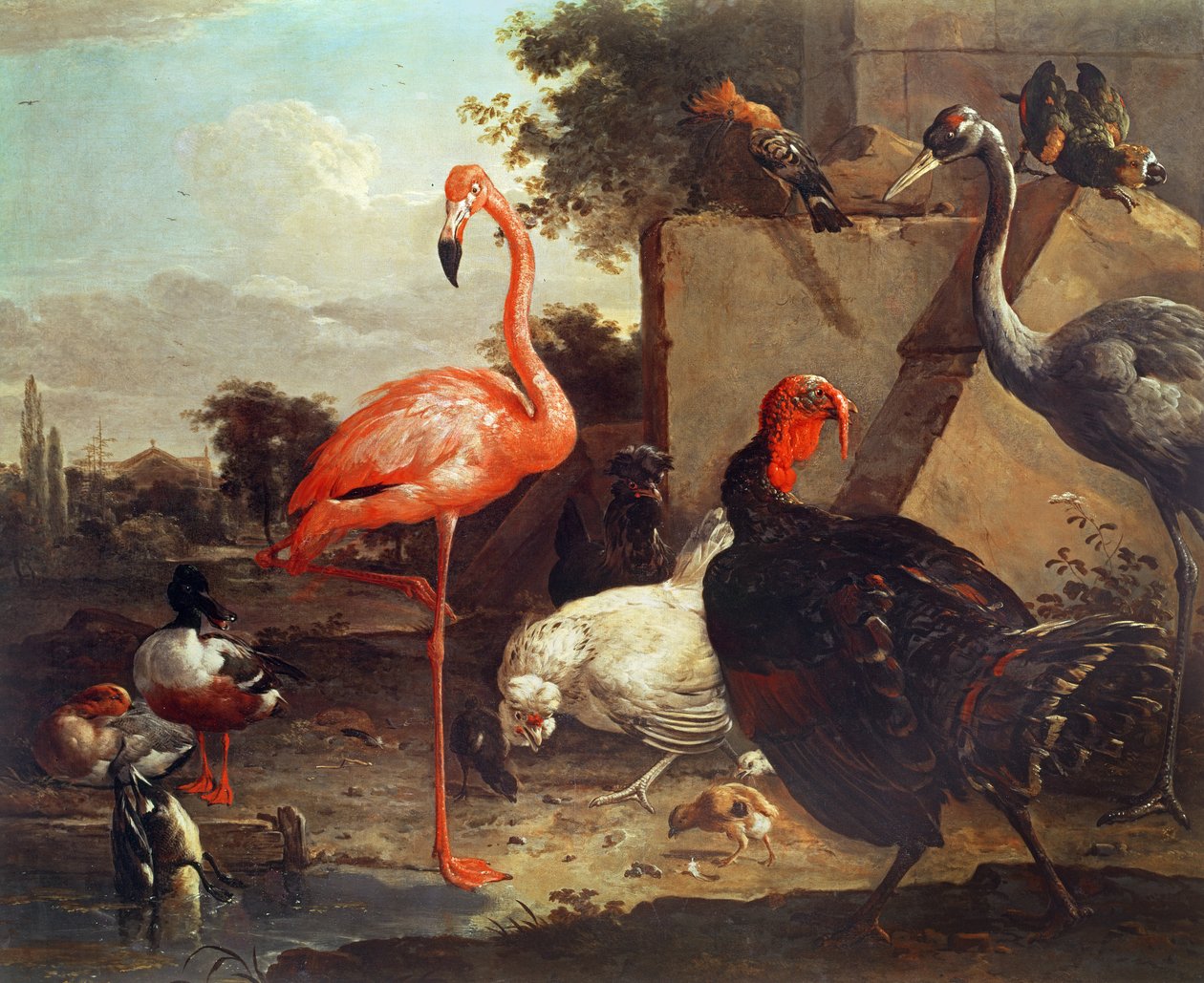 Aves varias de Gillis Claesz d