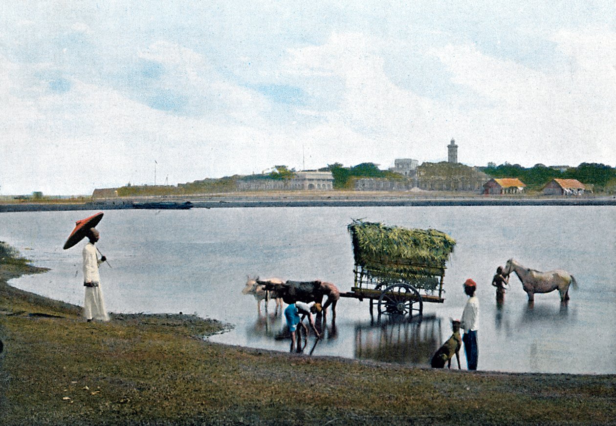 Colombo, Ceilán, c1890 de Gillot