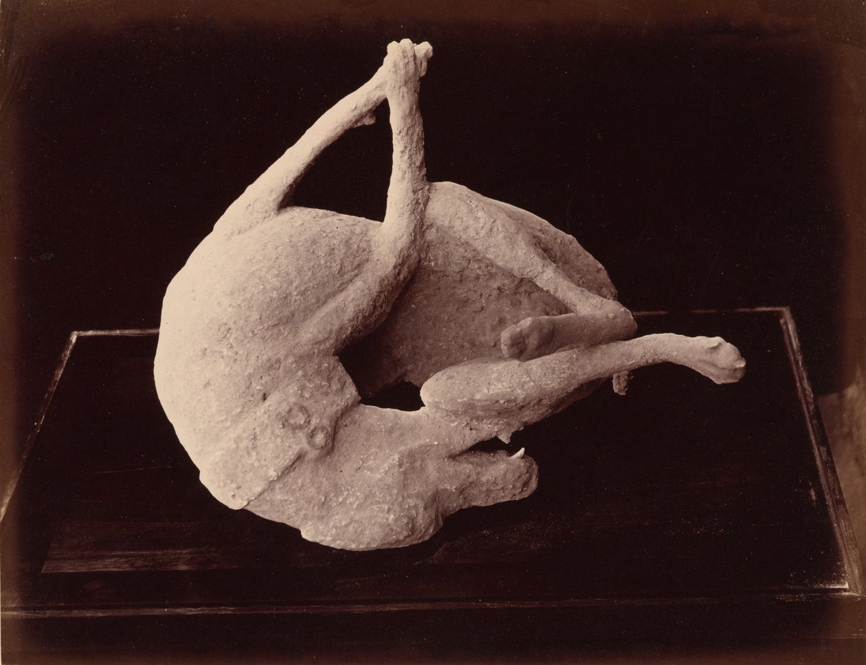 Fundición, Pompeya, c. 1870 (foto) de Giorgio Sommer