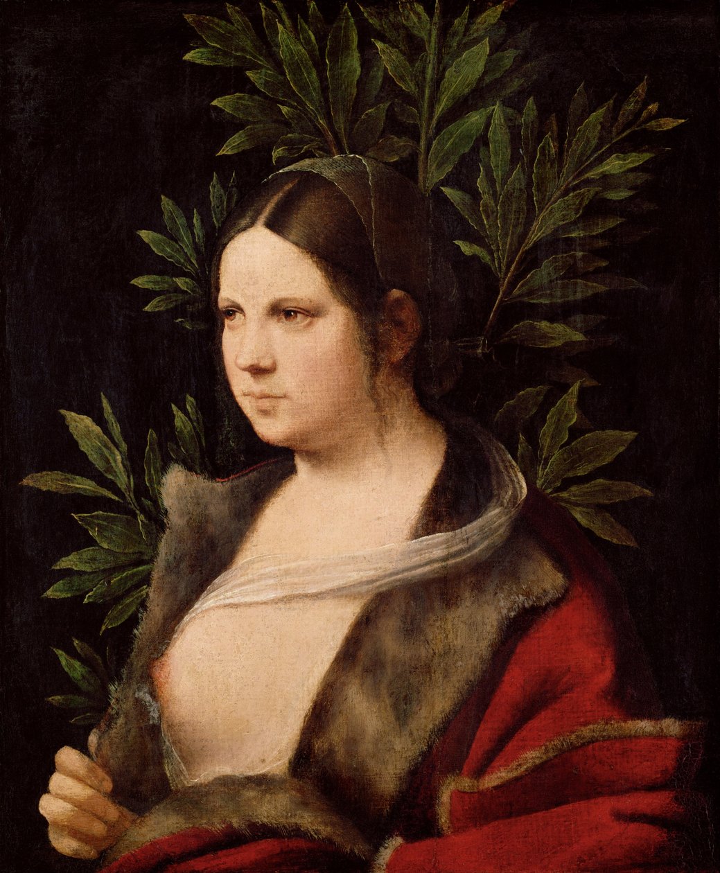 Joven mujer Laura, 1506 de Giorgione da Castelfranco