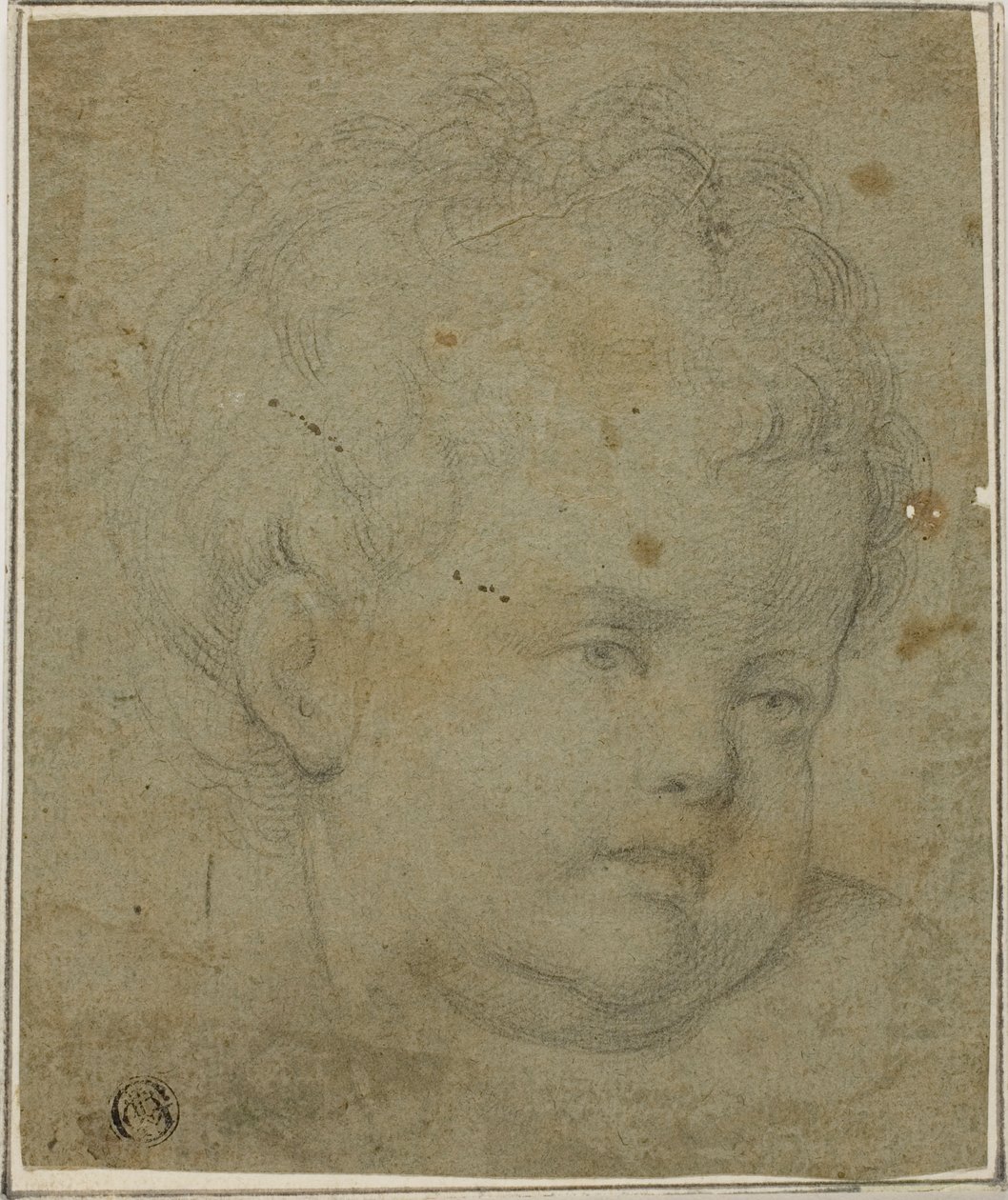 Cabeza de niño de Giovanni Battista Caracciolo
