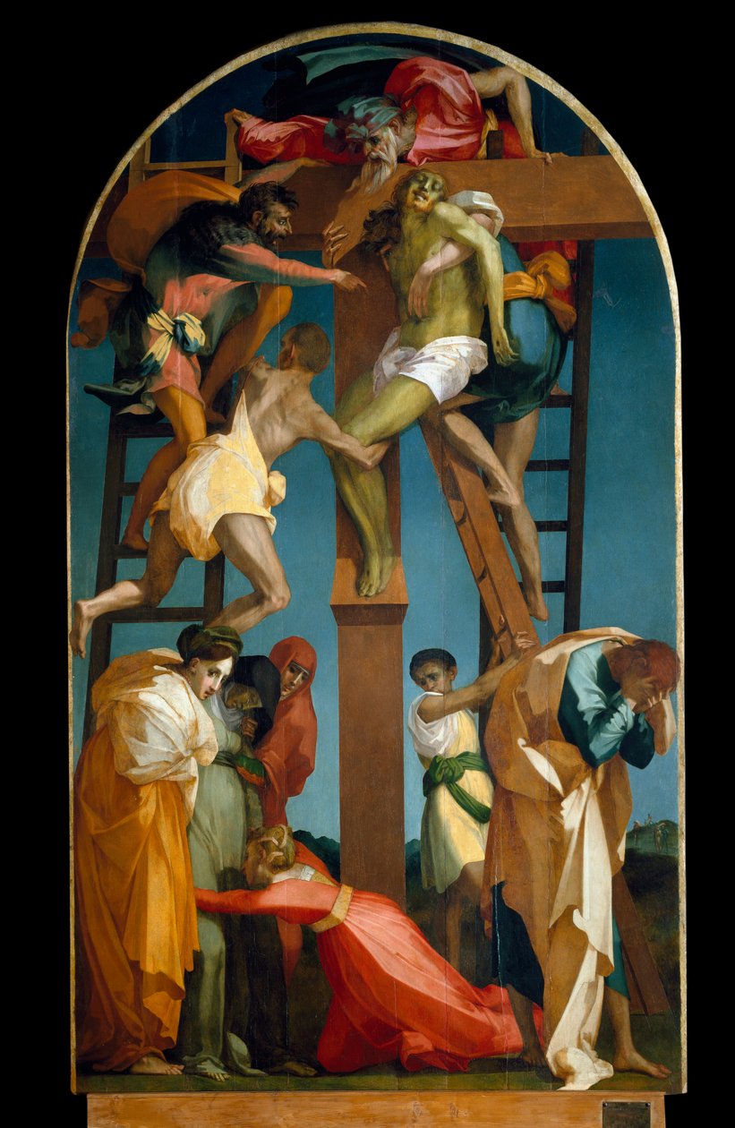 Imagen desconocida de Giovanni Battista Rosso Fiorentino