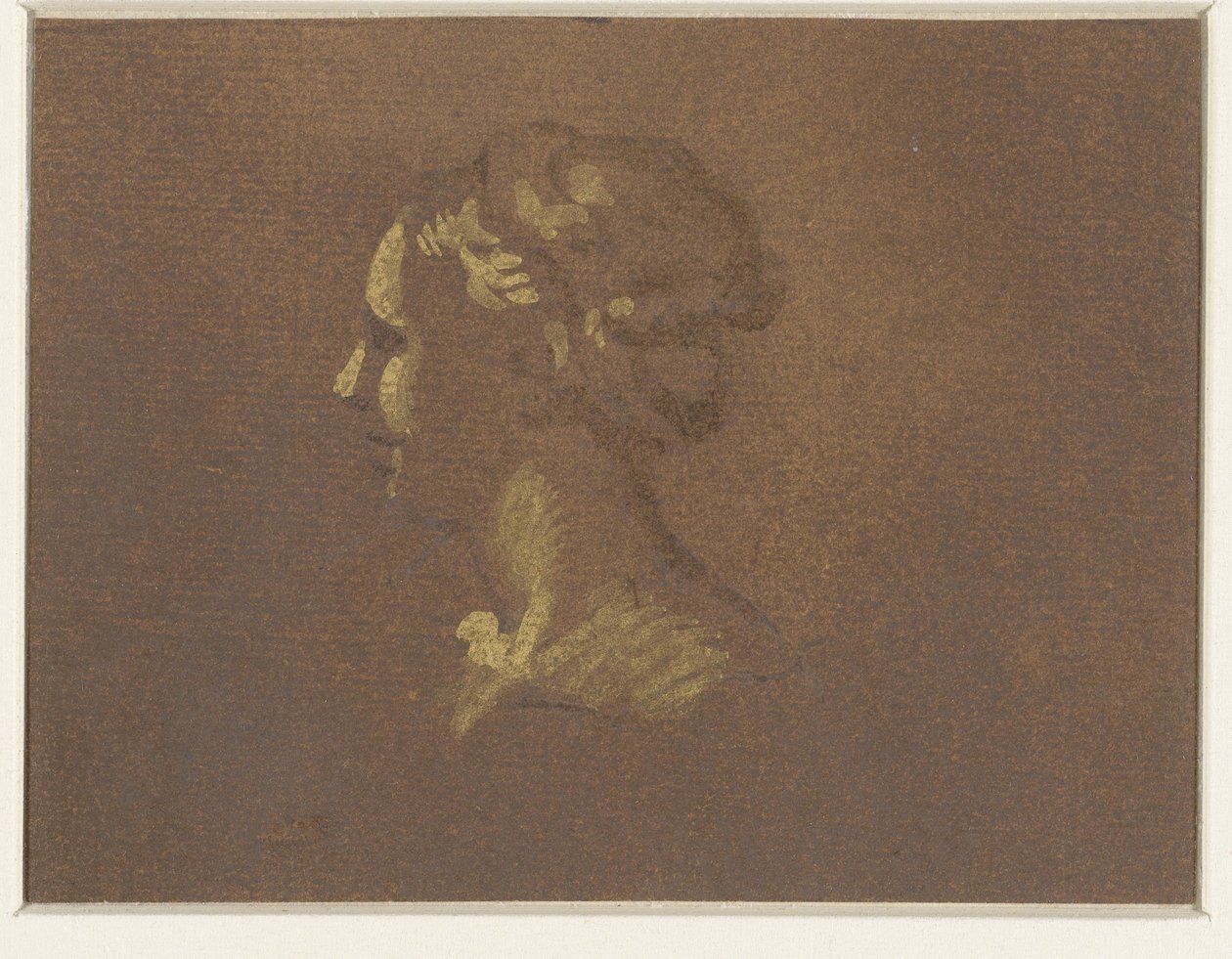 Cabeza de niña de Giovanni Benedetto Castiglione