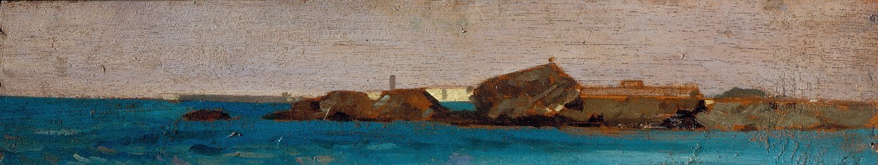 Mar azul, c.1865 (óleo sobre tabla) de Giovanni Fattori