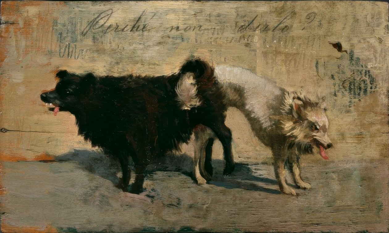 ¿Por qué no decirlo? de Giovanni Fattori
