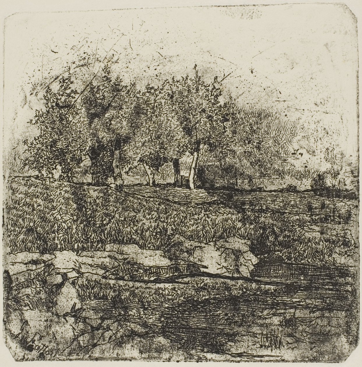 Árboles en un prado de Giovanni Fattori