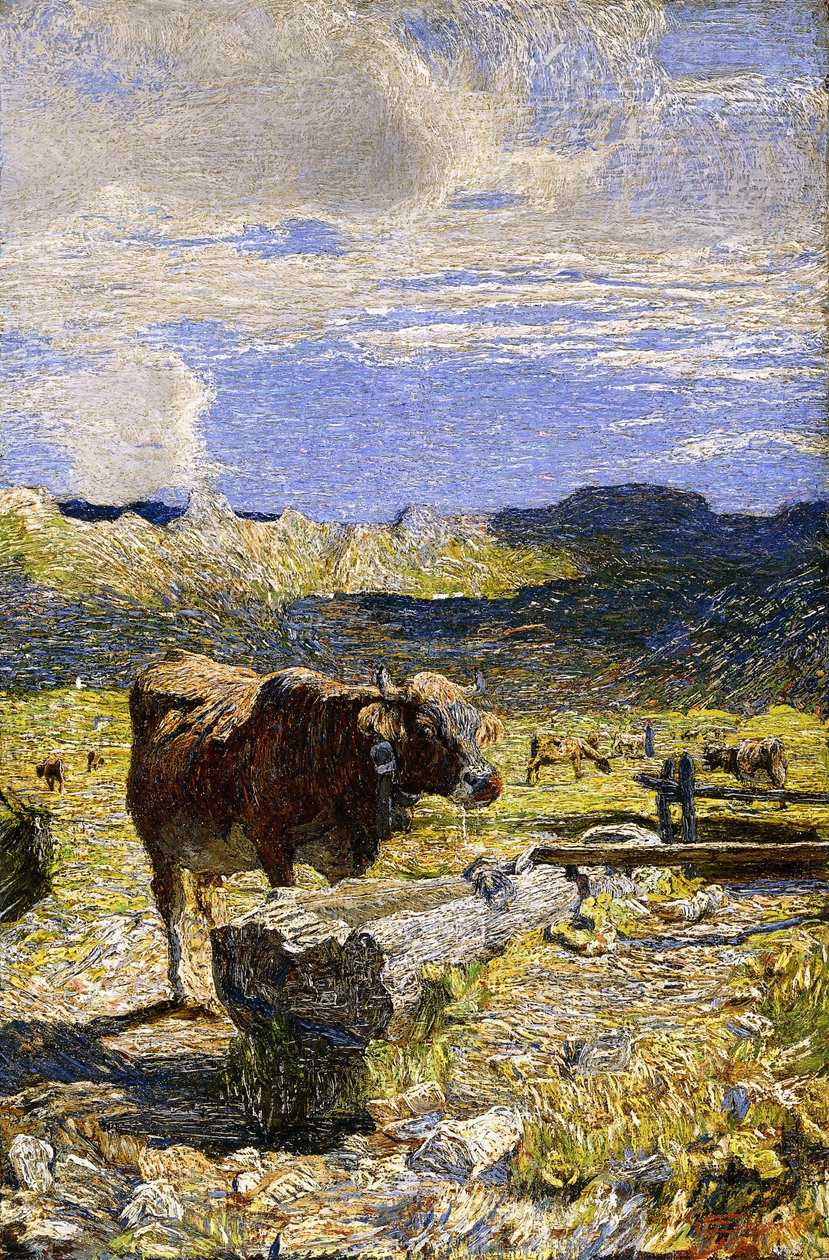 Vaca marrón bebiendo de un abrevadero de Giovanni Segantini