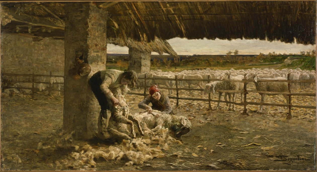 La esquila de ovejas, 1883-1884 de Giovanni Segantini