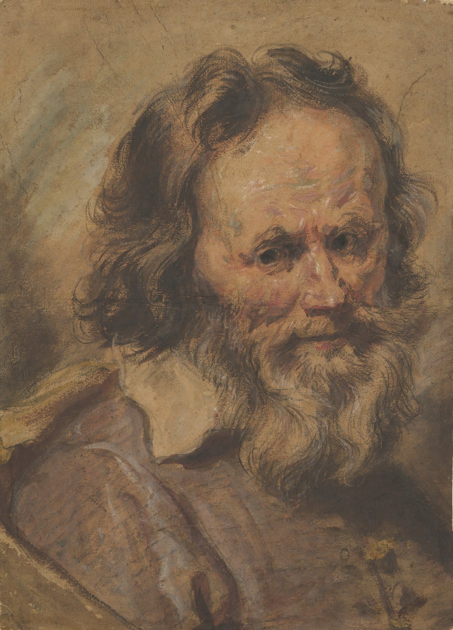 Cabeza de un hombre con barba de Giovanni Serodine