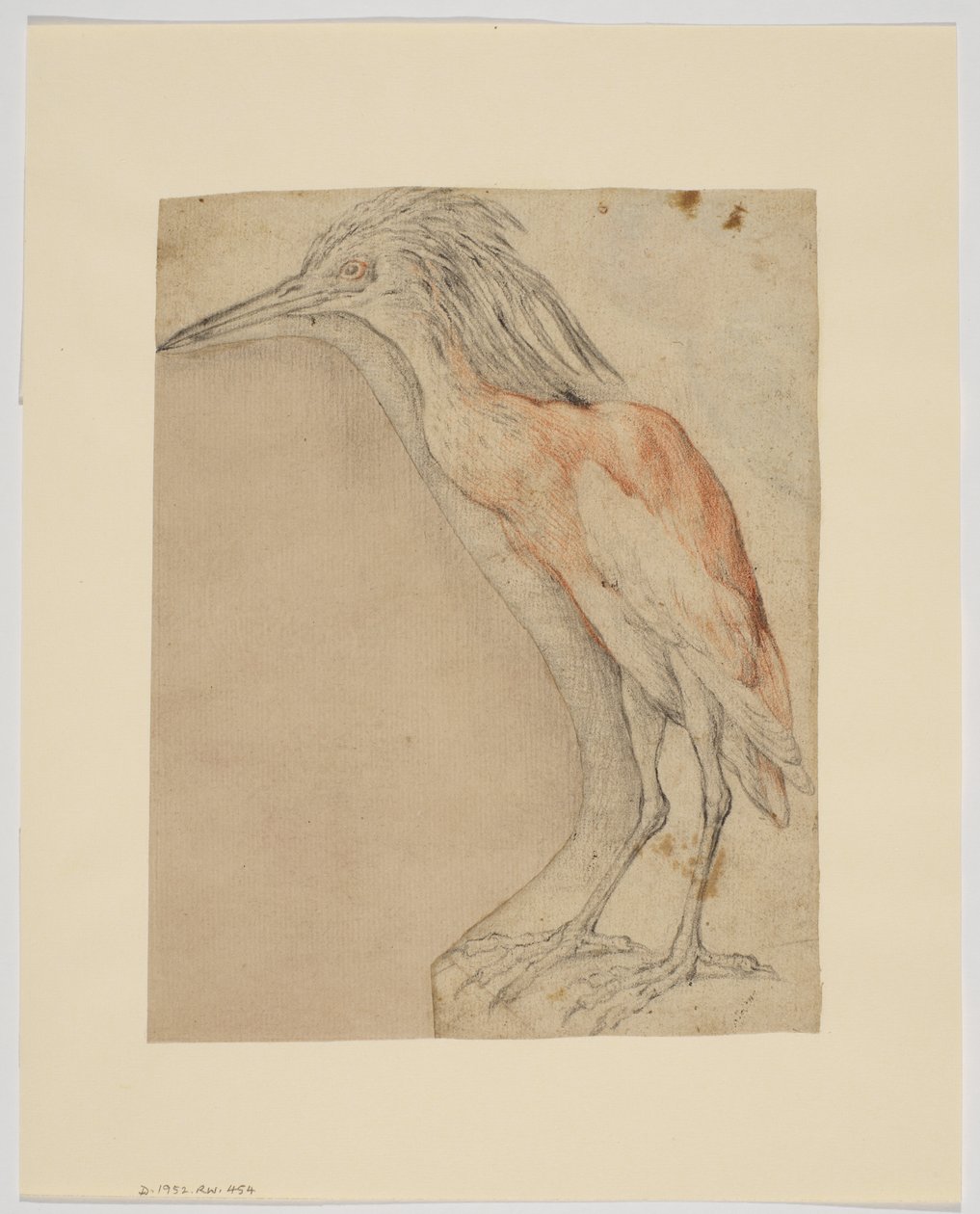 Garza, anverso de Giovanni da Udine (after)