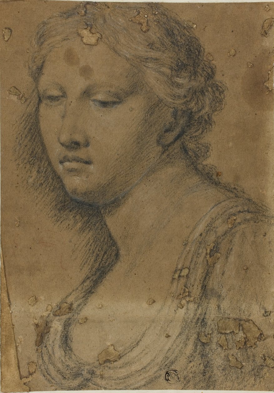 Busto de Mujer de Girolamo da Carpi